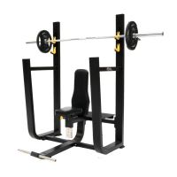 Olympic vertical bench AP6106 Athletic Performance