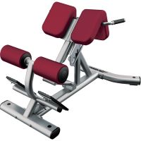Lower back bench SBE Life Fitness