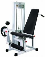 Combiné ischio jambiers quadriceps GymWorks