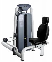 Seated calf GymWorks