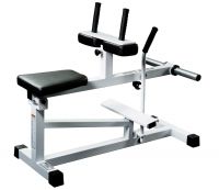 Free weight seated calf GymWorks