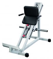 Free weight inclined calf GymWorks
